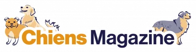 Logo principal de Chiens Magazine.